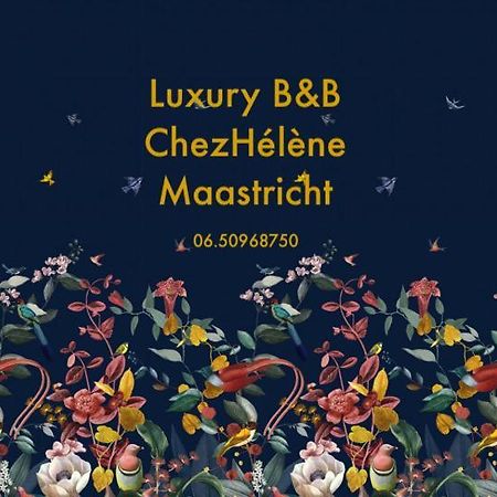 Chez Hélène Luxury BNB Maastricht Extérieur photo