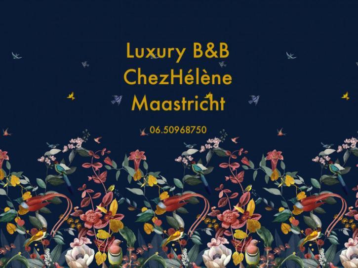 Chez Hélène Luxury BNB Maastricht Extérieur photo